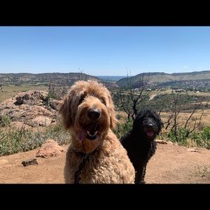 Meet your Posher, Nick